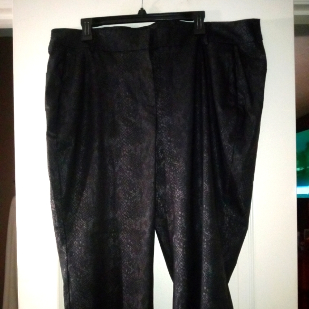 Dress Pants